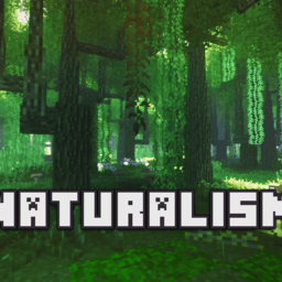 星空传媒有限公司官网入口自然主义整合包下载手机版-星空传媒有限公司官网入口自然主义模组下载 v951622101 安卓版