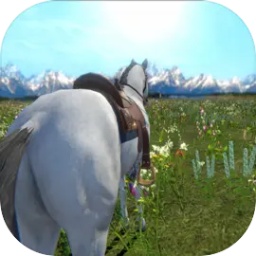 今天你[教程经验]911行情网站电视直播在线免费-哔哩哔哩了吗游戏下载-今天你[教程经验]911行情网站电视直播在线免费-哔哩哔哩了吗最新版下载 v0.12 安卓版