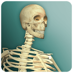 美女日B2025最新版下载-美女日B2025英文版下载 v2.0.0 安卓版