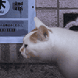 宋雨琦换脸之怪奇谭官方正版下载-宋雨琦换脸之怪奇谭手机版下载 v1.0 安卓正版